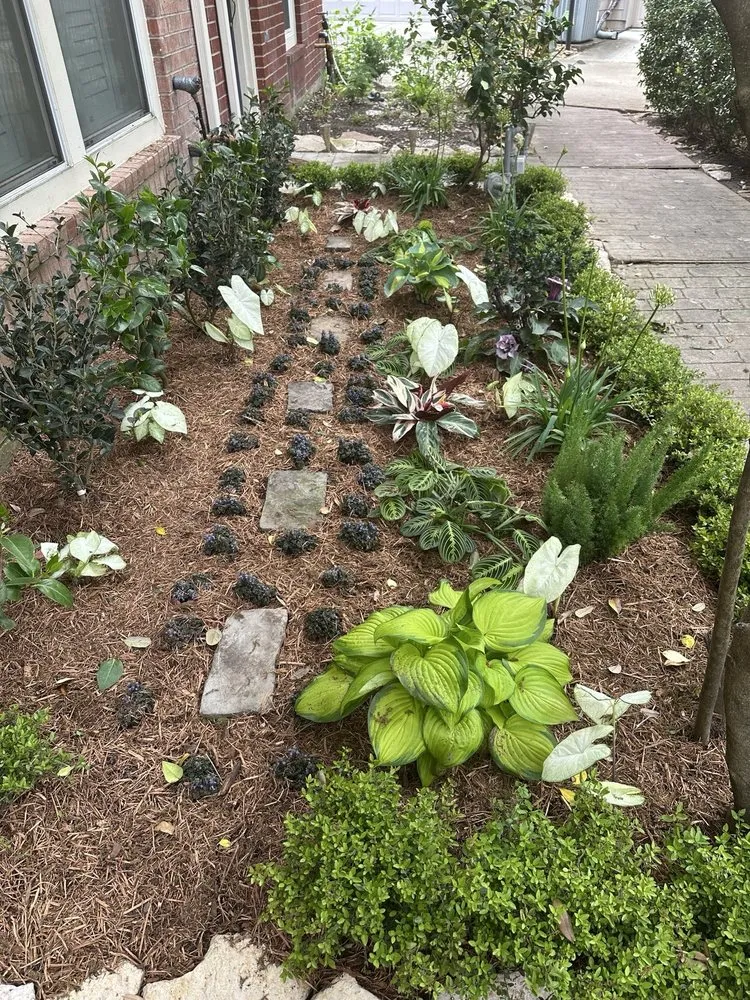 Affordable yard cleanup service for homes in Houston, TX by Byron's Landscaping