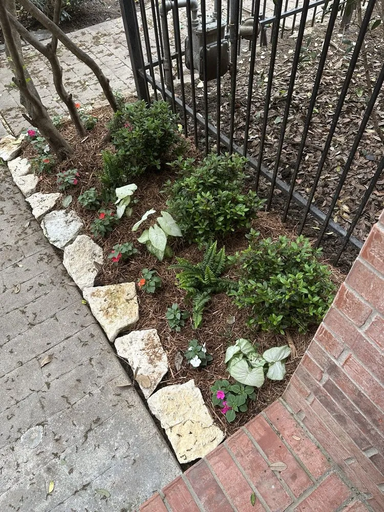 Affordable yard cleanup service experts serving Houston, TX - Byron's Landscaping