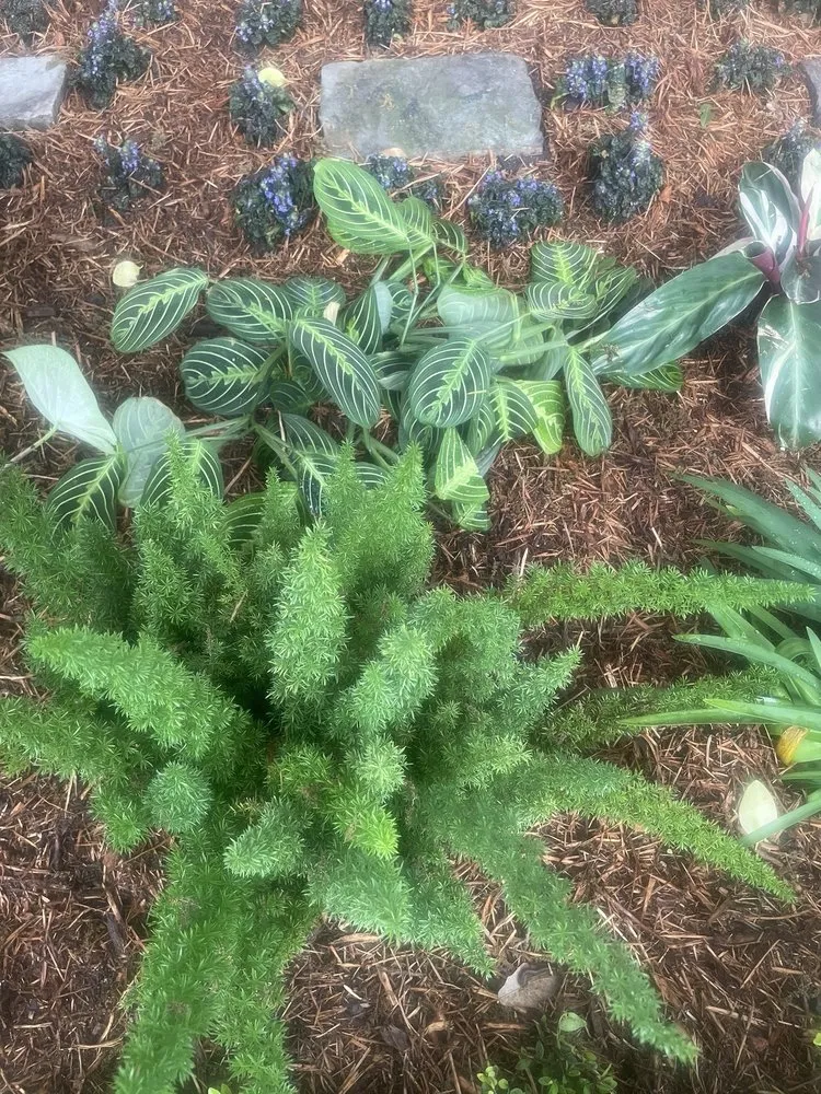 Expert lawn mowing service in Houston, TX by Byron's Landscaping