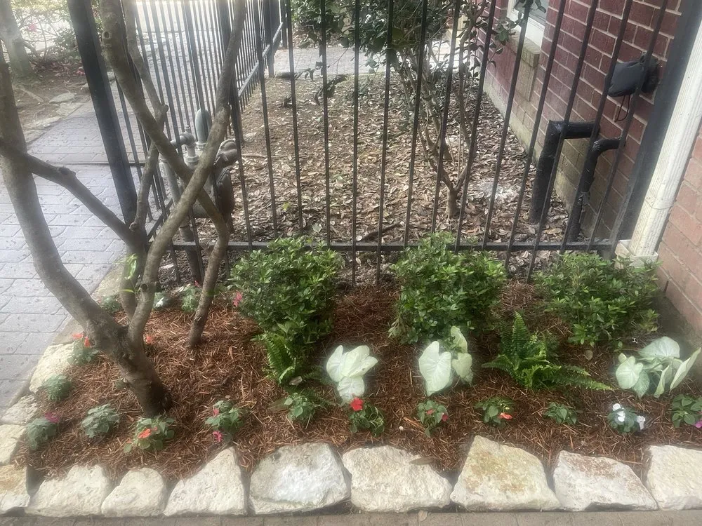 Professional lawn mowing service for year-round maintenance in Houston, TX by Byron's Landscaping