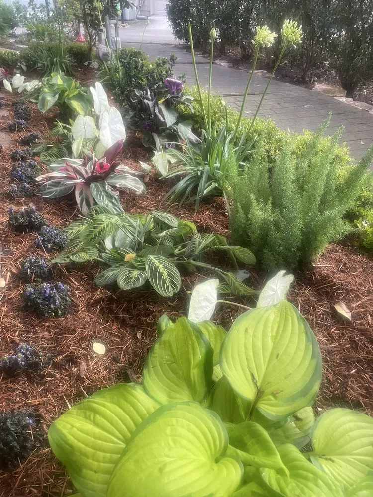 Custom outdoor landscaping near you across Houston, TX - Byron's Landscaping