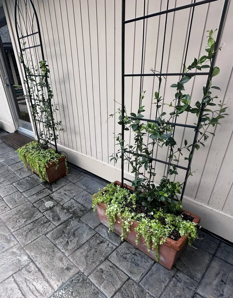 Professional lawn mowing service for year-round maintenance in Houston, TX by Byron's Landscaping