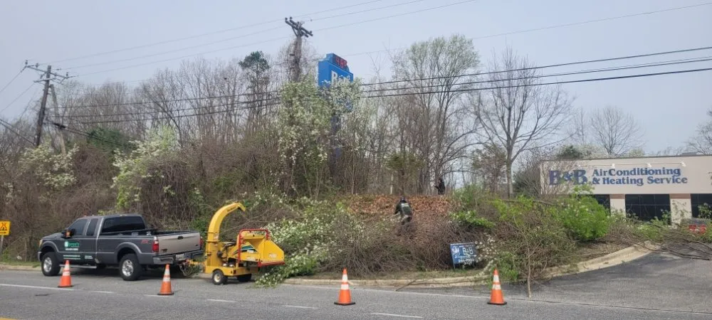 Local landscaping services experts serving Linthicum, MD - Byron's Landscaping
