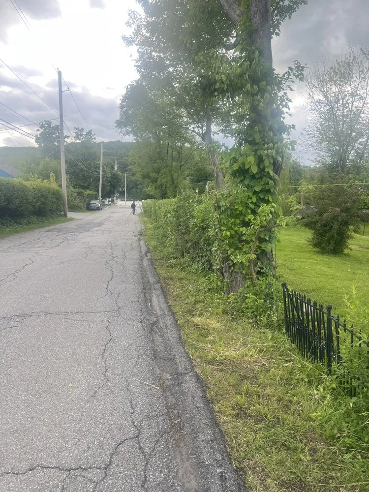 Professional lawn mowing service with custom design in Mahopac, NY by Byron’s Lawn Care