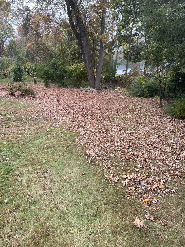 Expert yard cleanup service in Mahopac, NY by Byron’s Lawn Care