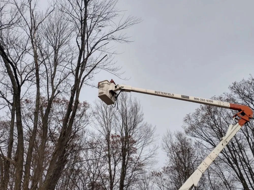 Custom landscaping services for beautiful yards in Florence, WI by BYS Services