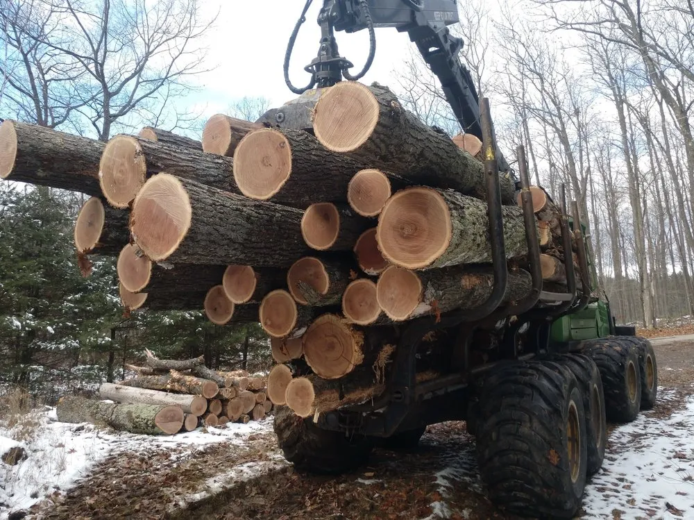 Professional lawn care service experts serving Florence, WI - BYS Services