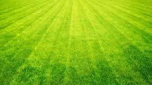 Affordable lawn care service for beautiful yards in Vichy, MO by Bysc Lawncare