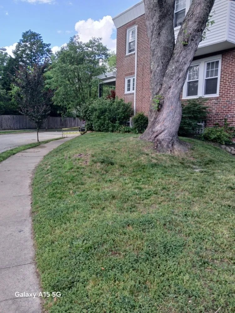 Local yard maintenance for beautiful yards across Philadelphia, PA - Byshir Lawn Services