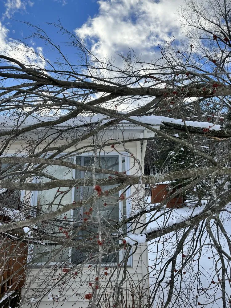 Local landscaping services for residential properties in Duanesburg, NY by Bz Trees Service and Landscaping