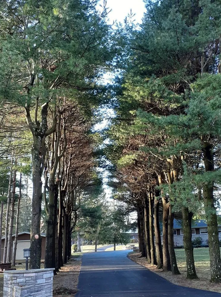 Top-rated yard cleanup service for beautiful yards across Duanesburg, NY - Bz Trees Service and Landscaping