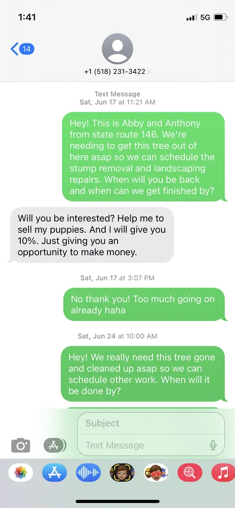 Professional garden landscaping for residential properties in Duanesburg, NY by Bz Trees Service and Landscaping