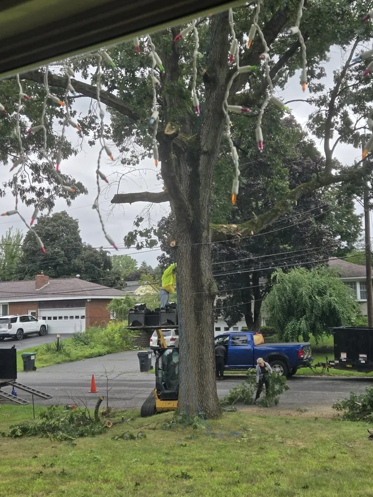 Custom residential landscaping for year-round maintenance in Duanesburg, NY by Bz Trees Service and Landscaping