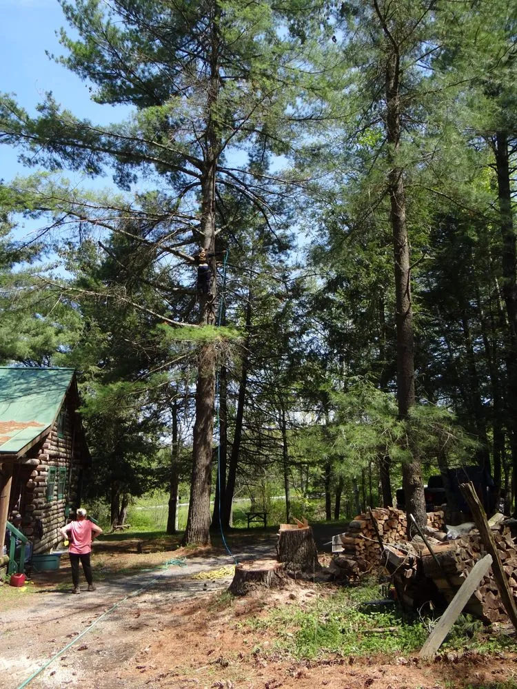 Reliable lawn care service for residential properties in Duanesburg, NY by Bz Trees Service and Landscaping