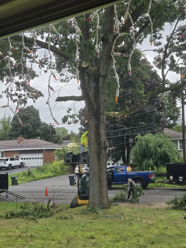 Professional residential landscaping for outdoor upgrades across Duanesburg, NY - Bz Trees Service and Landscaping