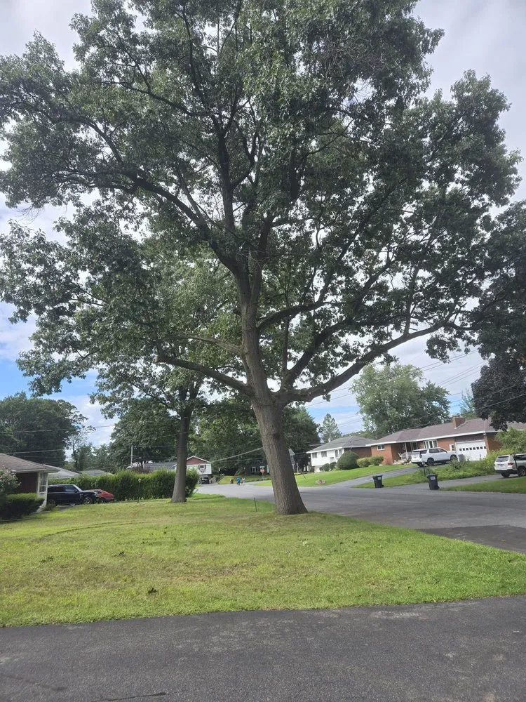 Trusted landscape design for homes across Duanesburg, NY - Bz Trees Service and Landscaping