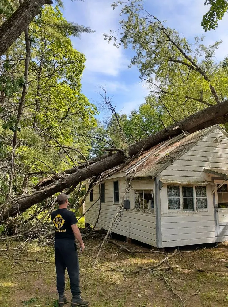 Local yard cleanup service in Duanesburg, NY by Bz Trees Service and Landscaping