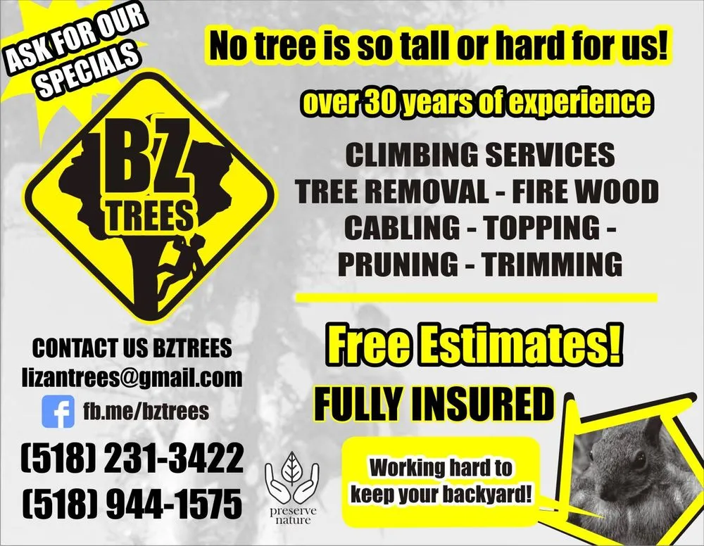 Custom lawn care service in Duanesburg, NY - Bz Trees Service and Landscaping