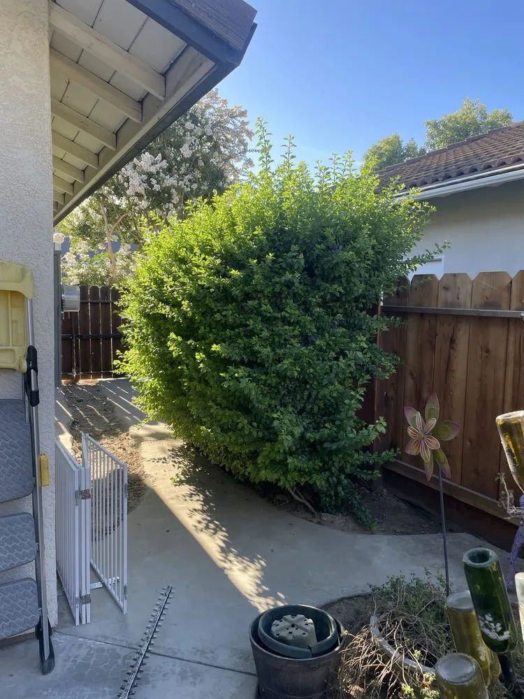 Professional yard maintenance experts serving Turlock, CA - B&Z Yard Services