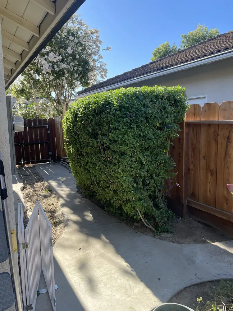 Trusted residential landscaping in Turlock, CA by B&Z Yard Services