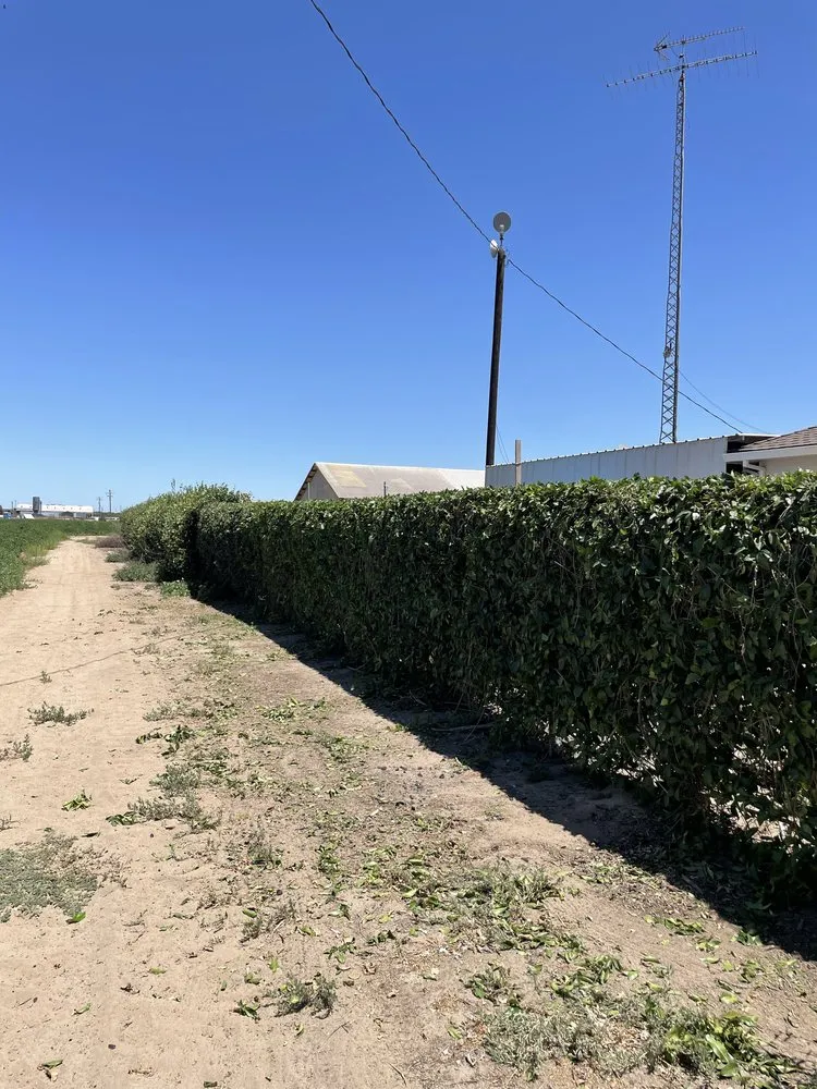 Reliable yard maintenance for residential properties in Turlock, CA by B&Z Yard Services