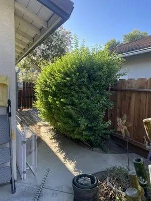 B&Z Yard Services Logo