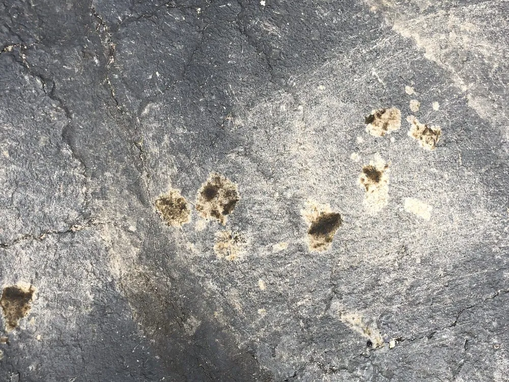 Expert yard cleanup service for year-round maintenance in Milford, OH by Bzak Landscaping and Garden Center