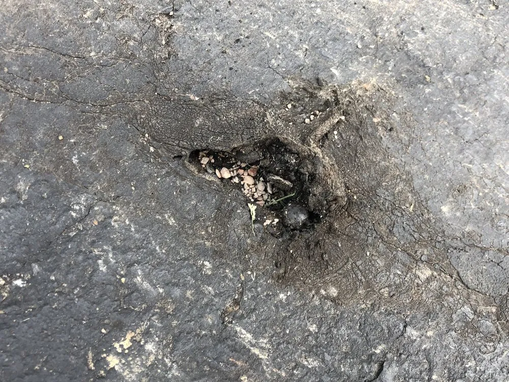 Top-rated lawn care service experts serving Milford, OH - Bzak Landscaping and Garden Center