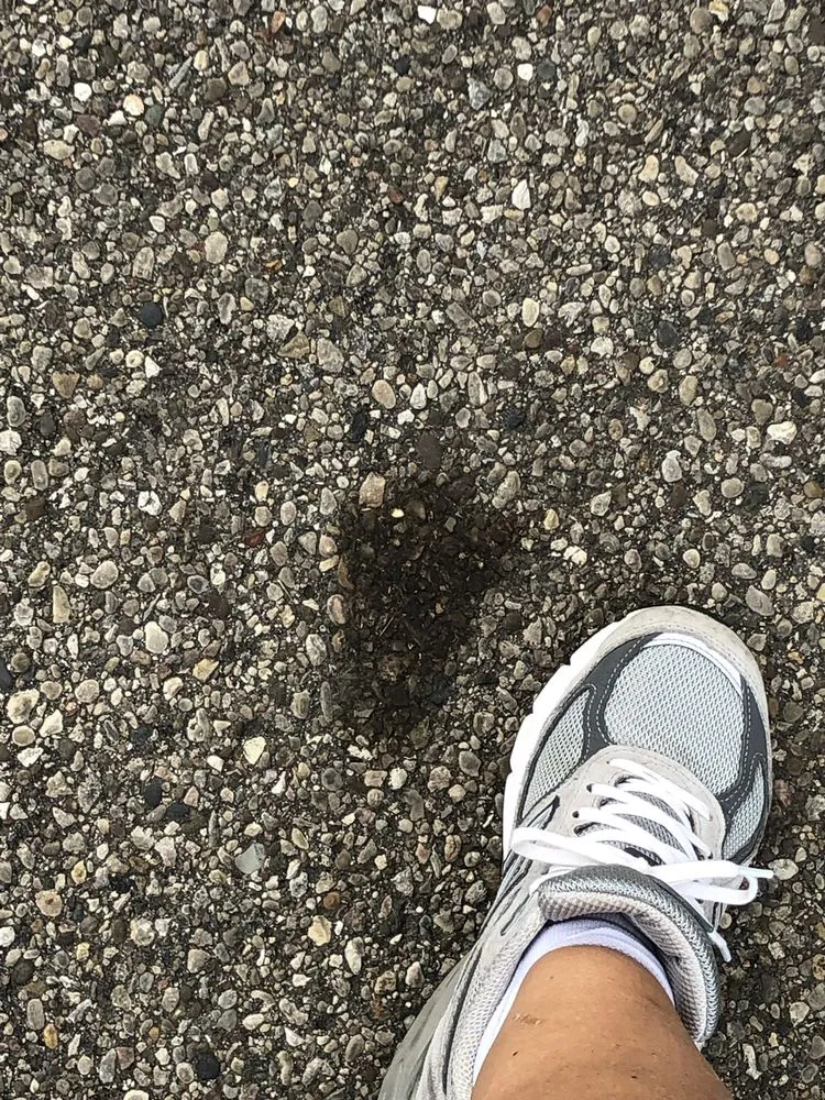 Local yard maintenance for outdoor upgrades across Milford, OH - Bzak Landscaping and Garden Center