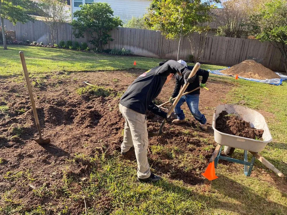 Top-rated landscaping services experts serving Houston, TX - Bzzz Renovation Mobile Detail