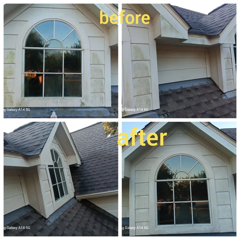 Custom landscape installation experts serving Houston, TX - Bzzz Renovation Mobile Detail