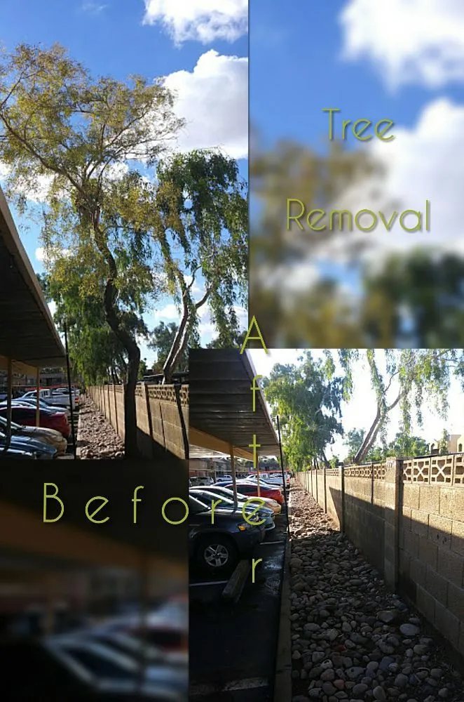 Expert residential landscaping for year-round maintenance across Mesa, AZ - C & A Landscapes