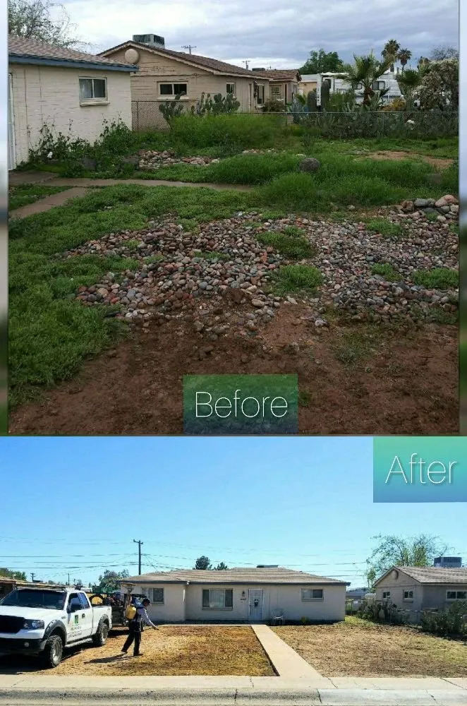 Expert landscape design in Mesa, AZ - C & A Landscapes
