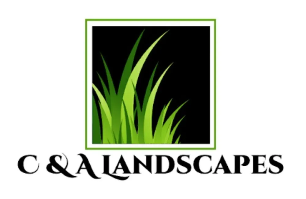 Top-rated yard cleanup service for outdoor upgrades in Mesa, AZ by C & A Landscapes