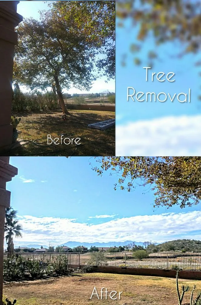 Expert lawn care service experts serving Mesa, AZ - C & A Landscapes