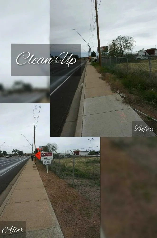 Custom landscape design experts serving Mesa, AZ - C & A Landscapes