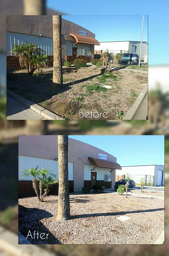 Affordable outdoor landscaping for outdoor upgrades across Mesa, AZ - C & A Landscapes