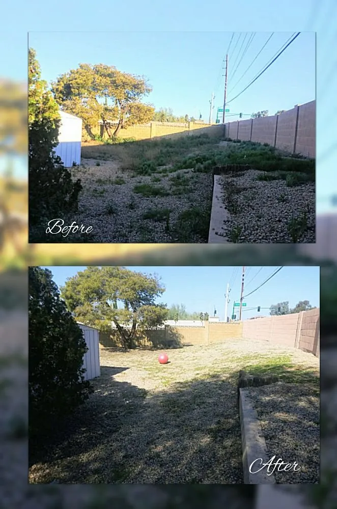 Trusted landscape installation for year-round maintenance across Mesa, AZ - C & A Landscapes