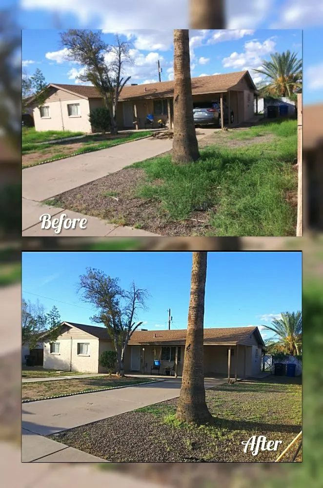Expert yard cleanup service experts serving Mesa, AZ - C & A Landscapes