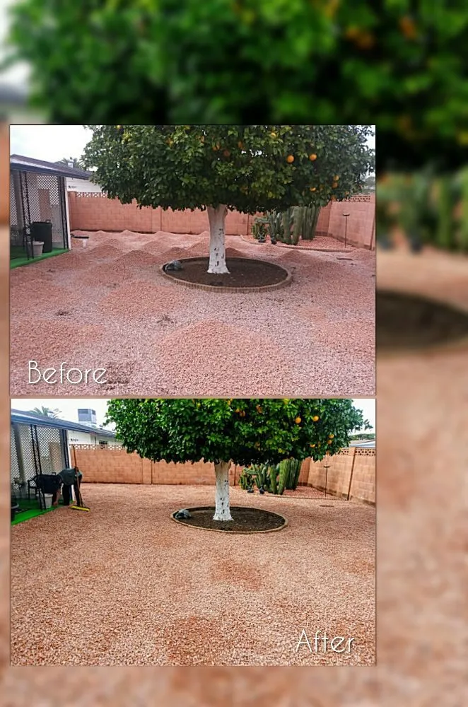 Reliable garden landscaping for residential properties in Mesa, AZ by C & A Landscapes