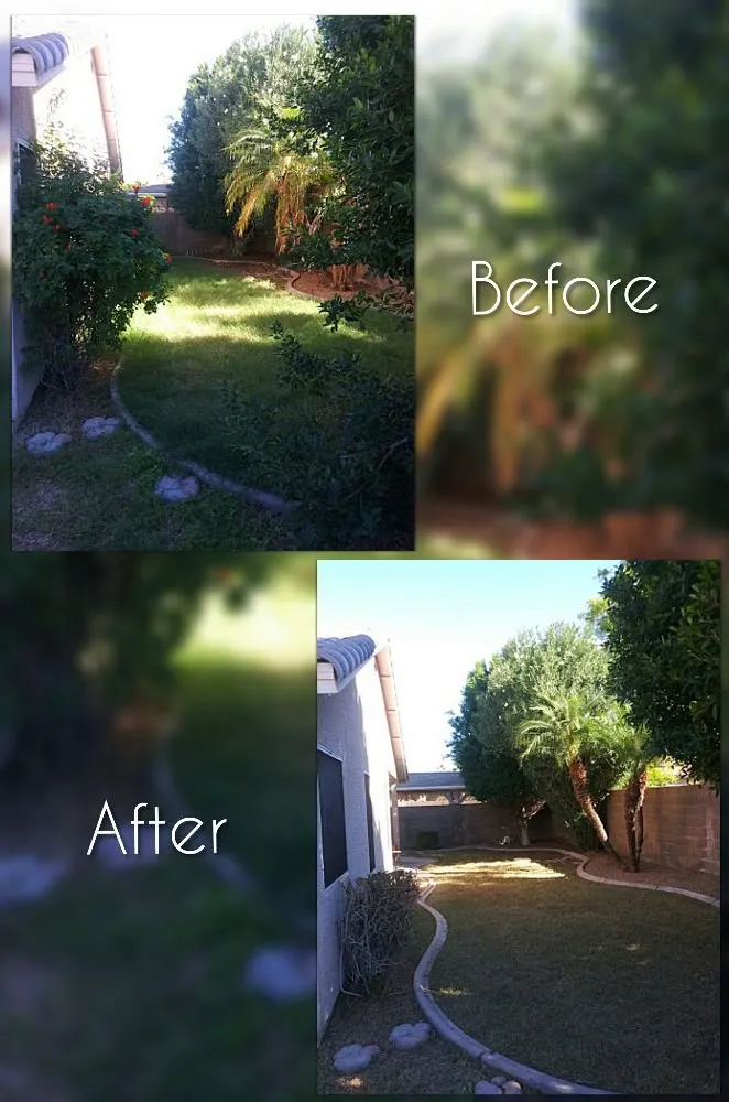 Expert lawn care service for beautiful yards in Mesa, AZ by C & A Landscapes