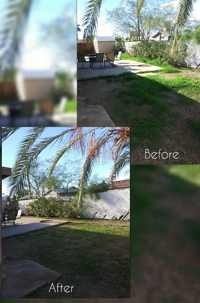 Expert garden landscaping in Mesa, AZ by C & A Landscapes
