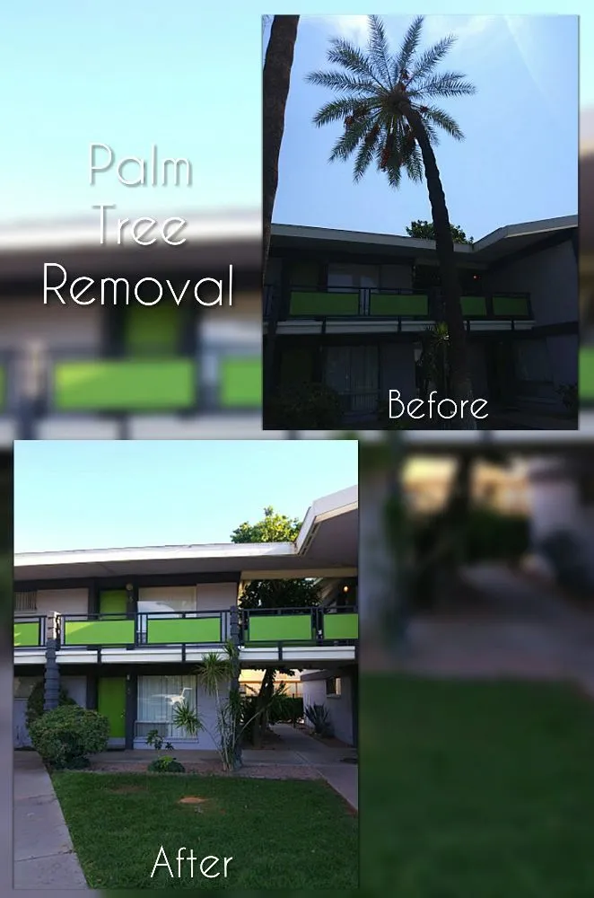 Expert garden landscaping experts serving Mesa, AZ - C & A Landscapes