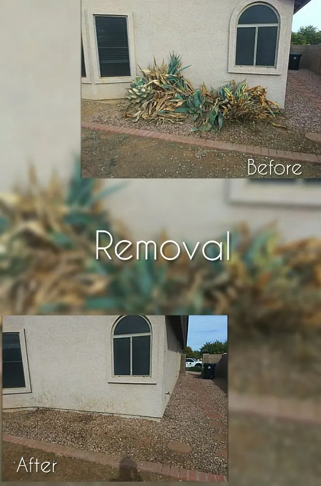 Reliable landscape design for residential properties in Mesa, AZ by C & A Landscapes