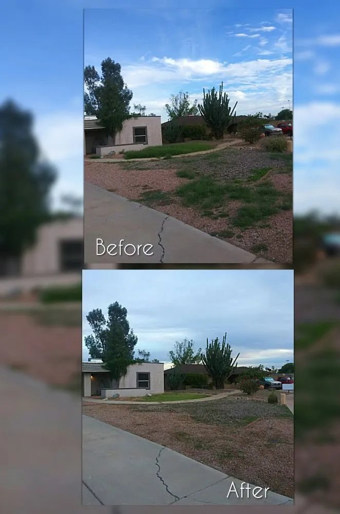 Top-rated garden landscaping experts serving Mesa, AZ - C & A Landscapes