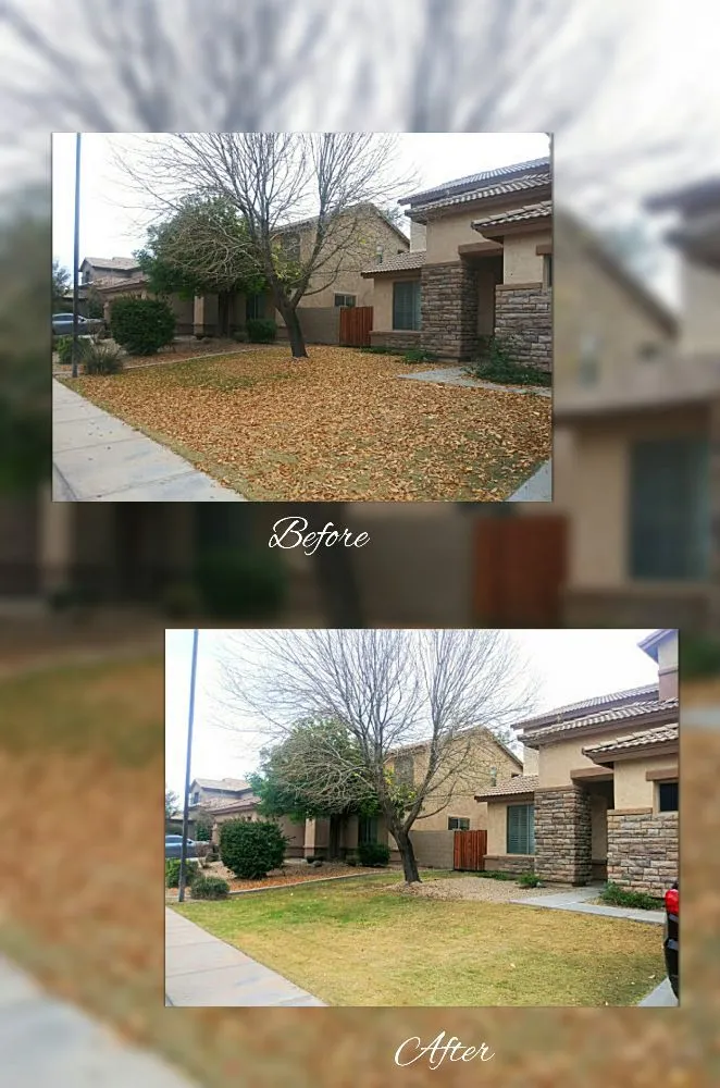 Top-rated yard maintenance with custom design in Mesa, AZ by C & A Landscapes