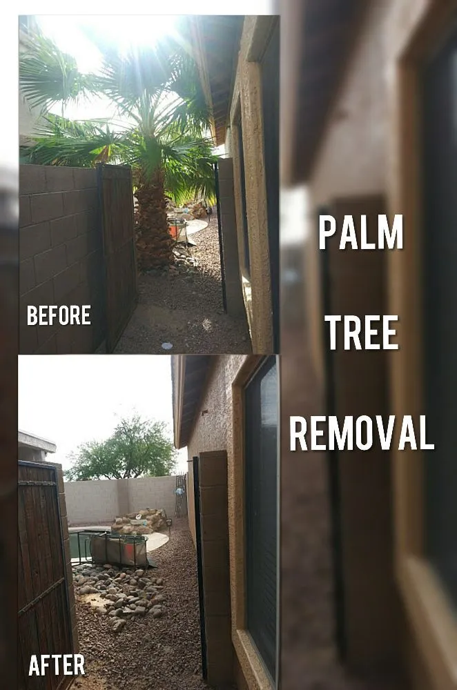 Affordable outdoor landscaping for residential properties across Mesa, AZ - C & A Landscapes