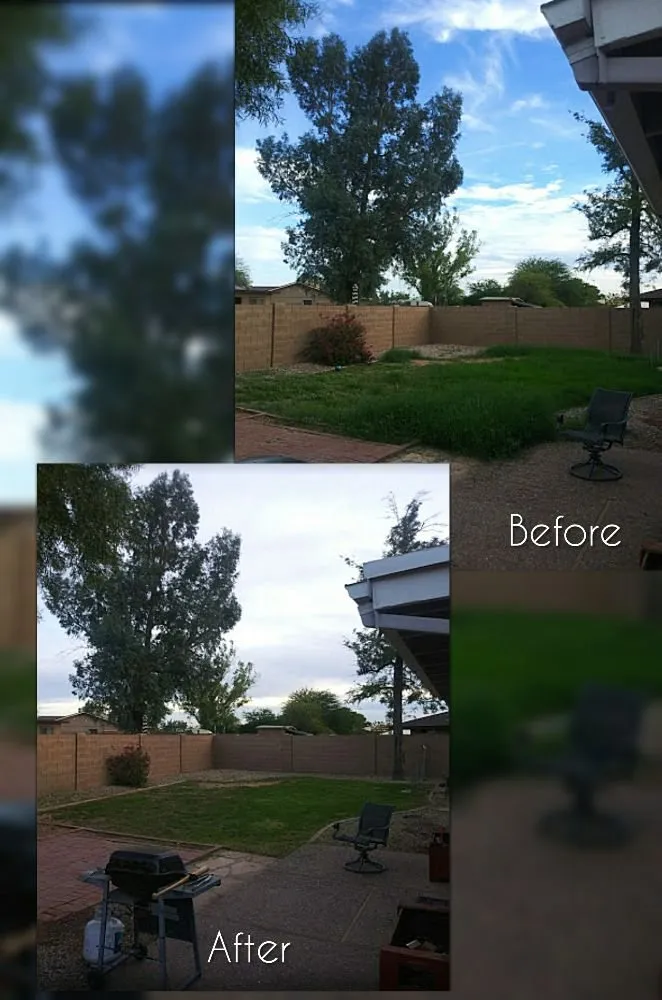 Affordable yard maintenance for outdoor upgrades across Mesa, AZ - C & A Landscapes