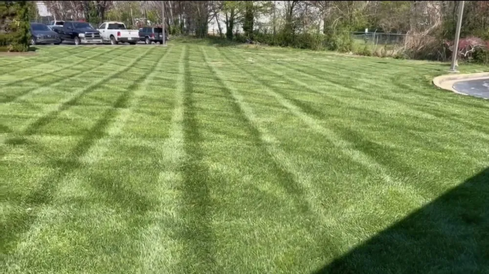 Local lawn care service in Bowling Green, KY - C & A Landscaping