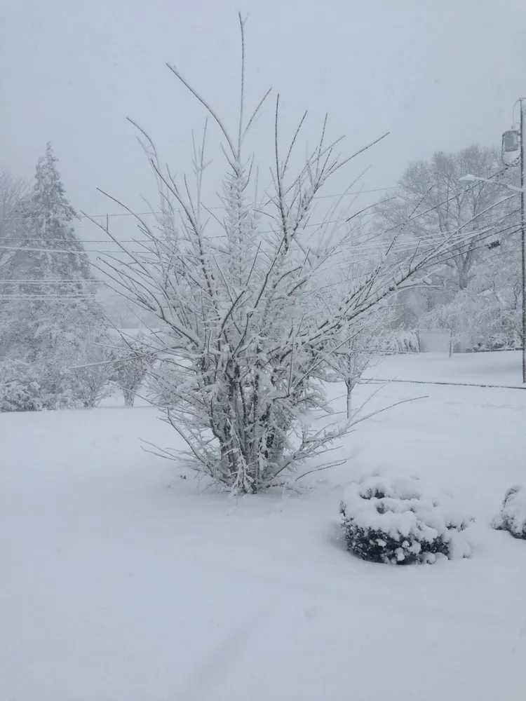 Local lawn mowing service in Brentwood, NY - C & A Landscaping